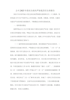 公司2023年落实全面从严治党责任自查报告.docx