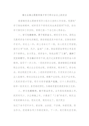 镇长在镇主题教育集中学习研讨会议上的发言.docx