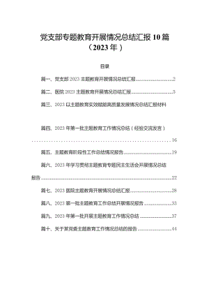 党支部专题教育开展情况总结汇报10篇（2023年）.docx