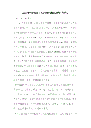 2023年党支部班子从严治党述职总结报告范文.docx