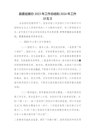 县委巡察办2023年工作总结.docx