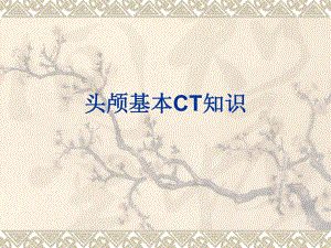 头部CT基础及断面解剖.ppt