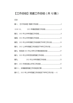 【工作总结】党建工作总结12篇（精编版）.docx