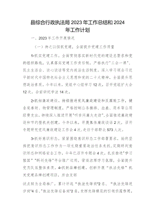 县综合行政执法局2023年工作总结.docx