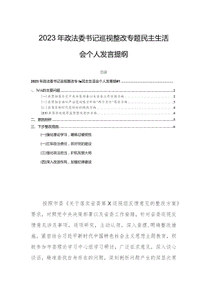 2023年政法委书记巡视整改专题民主生活会个人发言提纲.docx
