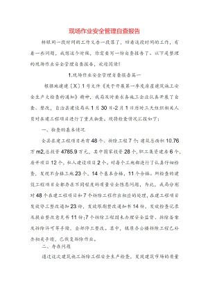 现场作业安全管理自查报告.docx