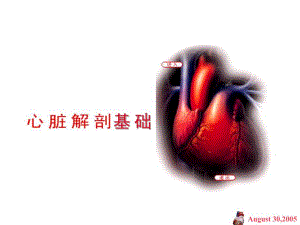 心脏解剖基础.ppt