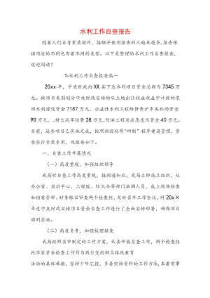 水利工作自查报告.docx