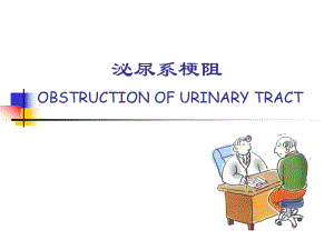 泌尿系梗阻的诊断与治疗 必尿科.ppt