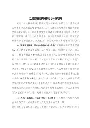县委常委、组织部部长研讨发言：以组织振兴引领乡村振兴.docx