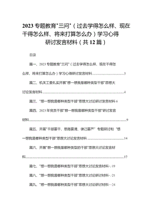 专题教育“三问”（过去学得怎么样、现在干得怎么样、将来打算怎么办）学习心得研讨发言材料(精选12篇).docx