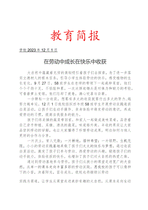 开展劳动基地喜获丰收活动简报.docx