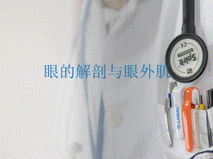 眼的解剖及眼外肌.ppt