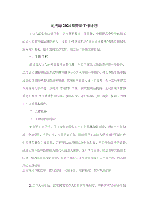 司法局2024年普法工作计划.docx