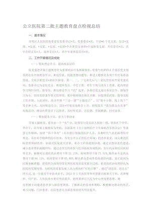 公立医院第二批主题教育盘点检视总结 .docx