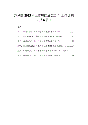水利局2023年工作总结及2024年工作计划（共6篇）.docx