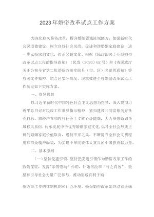 2023年婚俗改革试点工作方案.docx
