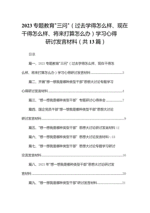 专题教育“三问”（过去学得怎么样、现在干得怎么样、将来打算怎么办）学习心得研讨发言材料(精选13篇合集).docx