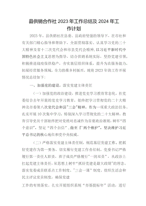县供销合作社2023年工作总结.docx
