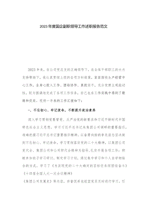 2023年度国企副职领导工作述职报告范文.docx