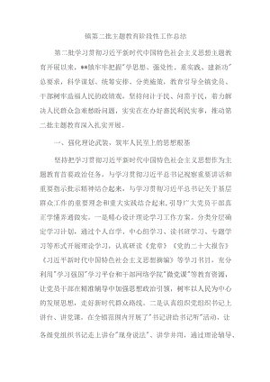 镇第二批主题教育阶段性工作总结.docx