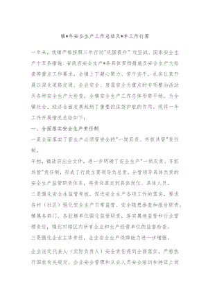 XX镇2023年安全生产工作总结及2024年工作打算.docx