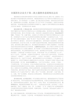 市属国有企业关于第二批主题教育进展情况总结.docx