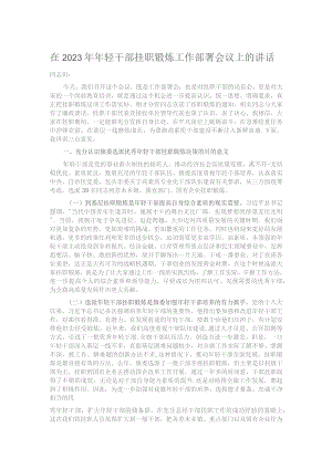 在2023年年轻干部挂职锻炼工作部署会议上的讲话.docx