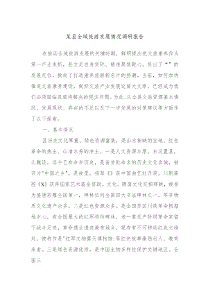 某县全域旅游发展情况调研报告.docx