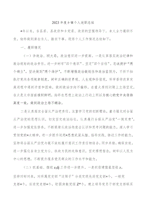 2023年度乡镇个人述职总结.docx