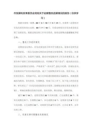 市发展和改革委员会党组关于巡察整改进展情况的报告.docx