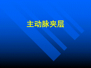 主动脉夹层.ppt