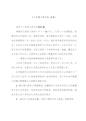 个人年度工作计划(5篇).docx