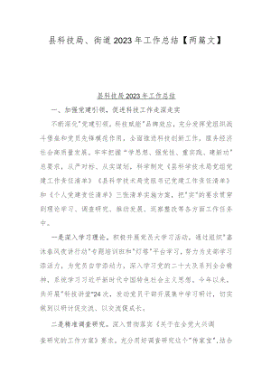 县科技局、街道2023年工作总结【两篇文】.docx
