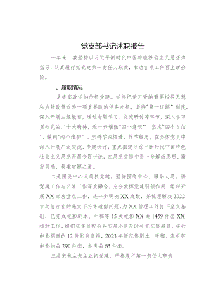 某党支部书记2023年述职报告.docx