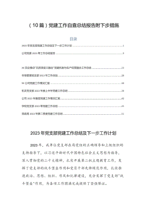（10篇）党建工作自查总结报告附下步措施.docx