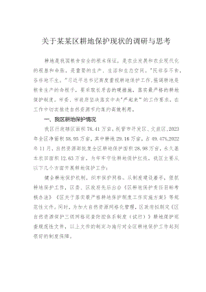 关于某某区耕地保护现状的调研与思考.docx