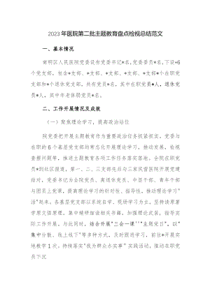 2023年医院第二批主题教育盘点检视总结范文.docx