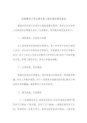 巡察整改工作主要负责人组织落实情况报告.docx