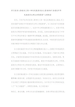 学习在深入推进长三角一体化发展座谈会上重要讲话“在建设中华民族现代文明上积极探索”心得体会.docx