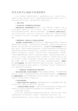 村党支部书记2023年度述职报告.docx