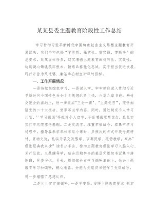 某某县委主题教育阶段性工作总结.docx