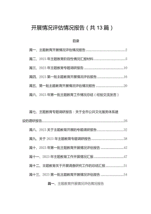 开展情况评估情况报告（共13篇）.docx