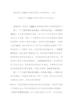 镇党委书记2023年抓基层党建工作述职报告(二篇).docx