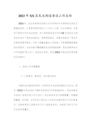 2023年XX区民生街道普法工作总结.docx