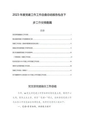 2023年度党建工作工作自查总结报告包含下步工作安排数篇.docx