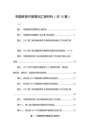 专题教育开展情况汇报材料12篇供参考.docx
