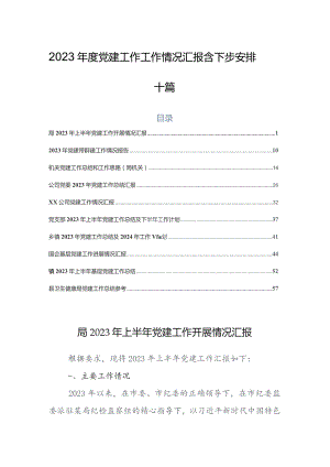 2023年度党建工作工作情况汇报含下步安排十篇.docx