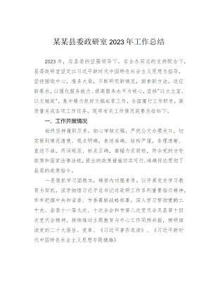 某某县委政研室2023年工作总结.docx