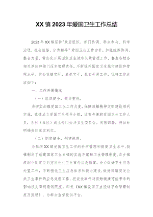 XX镇2023年爱国卫生工作总结.docx